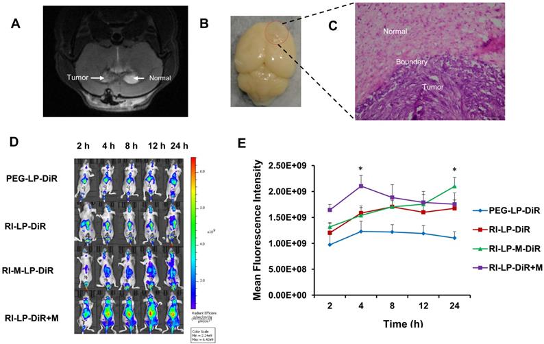 Theranostics Image