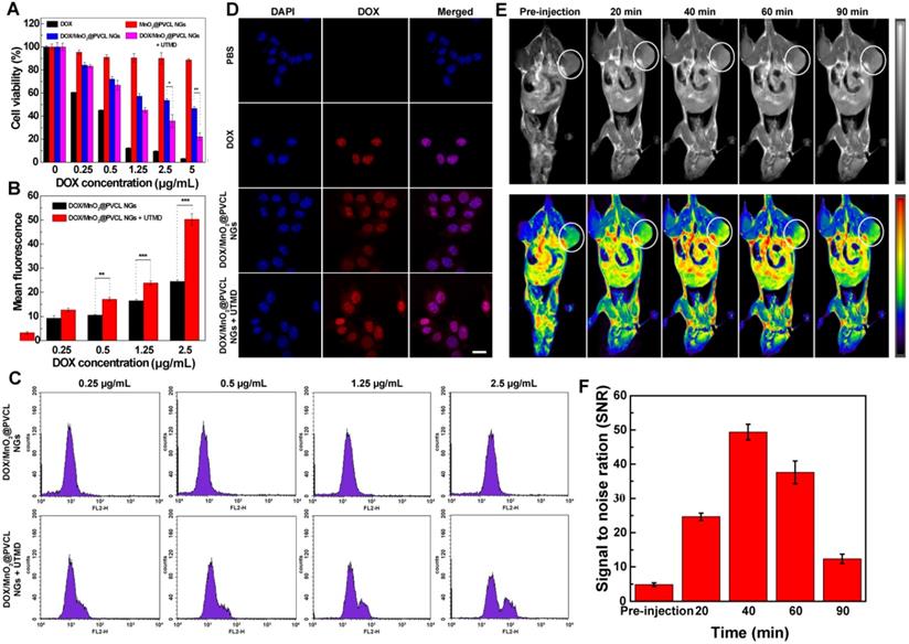 Theranostics Image