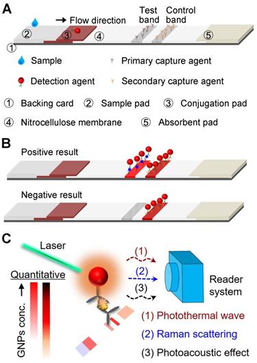 Theranostics Image