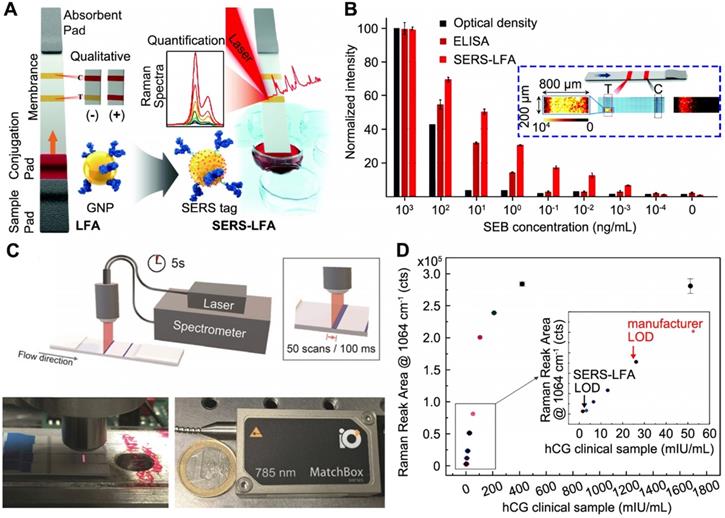 Theranostics Image