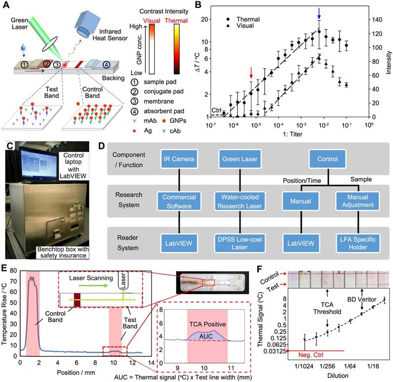 Theranostics Image