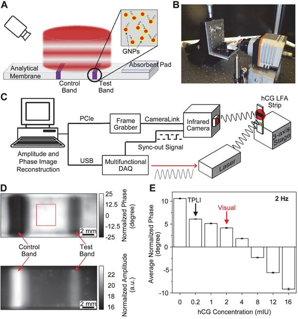 Theranostics Image