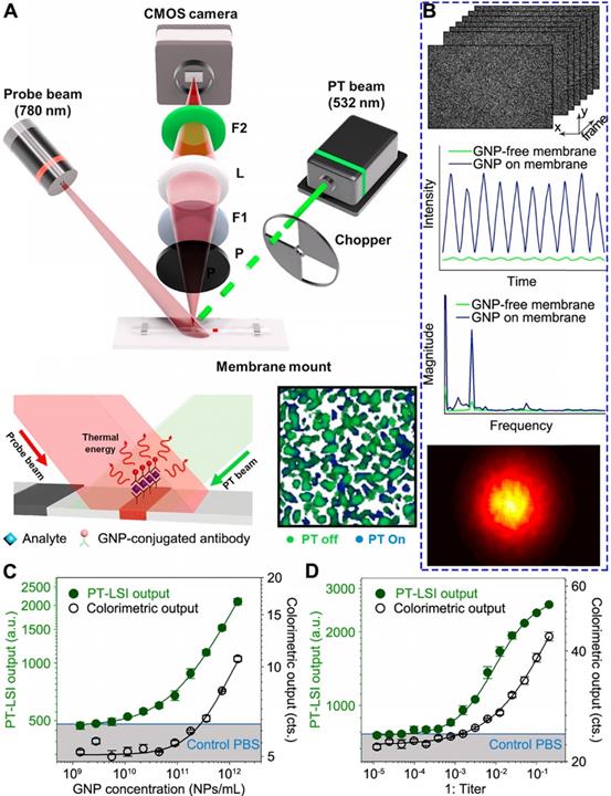 Theranostics Image