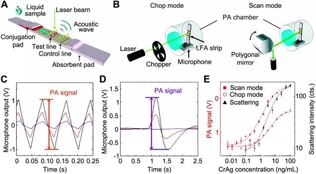 Theranostics Image