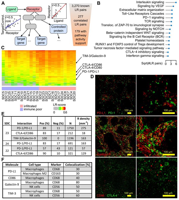 Theranostics Image