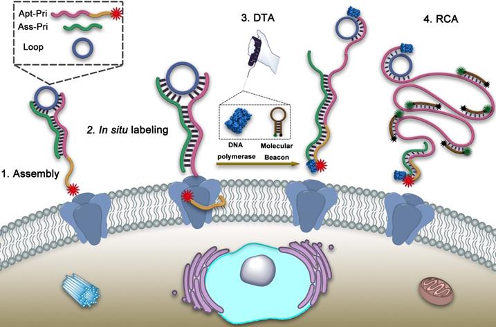 Theranostics Image