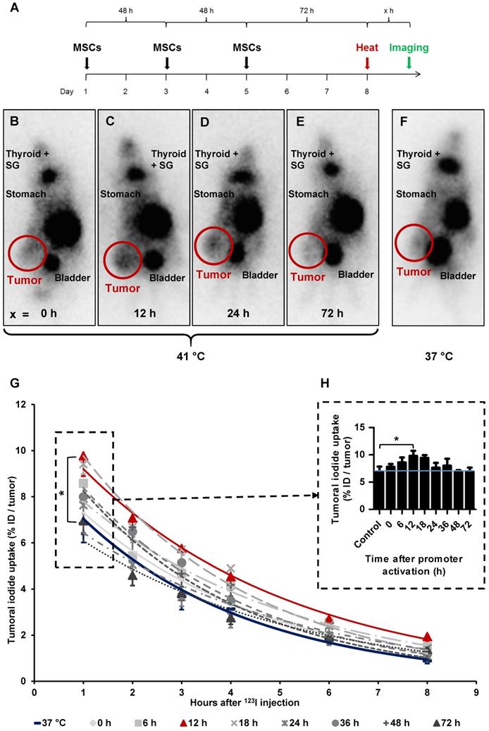 Theranostics Image