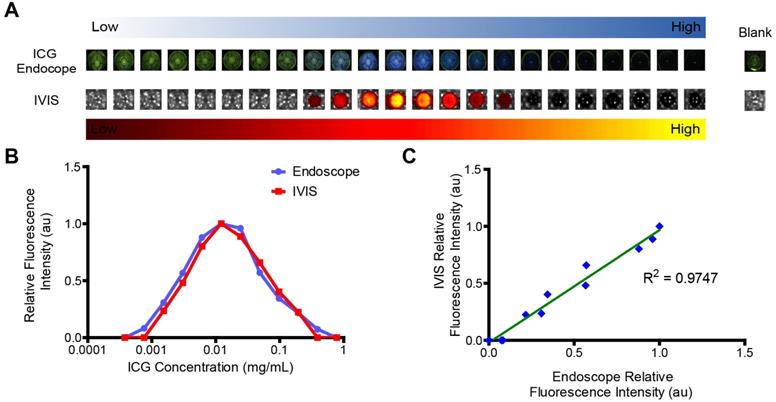 Theranostics Image