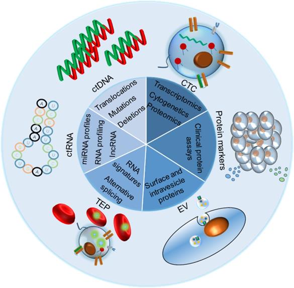 Theranostics Image