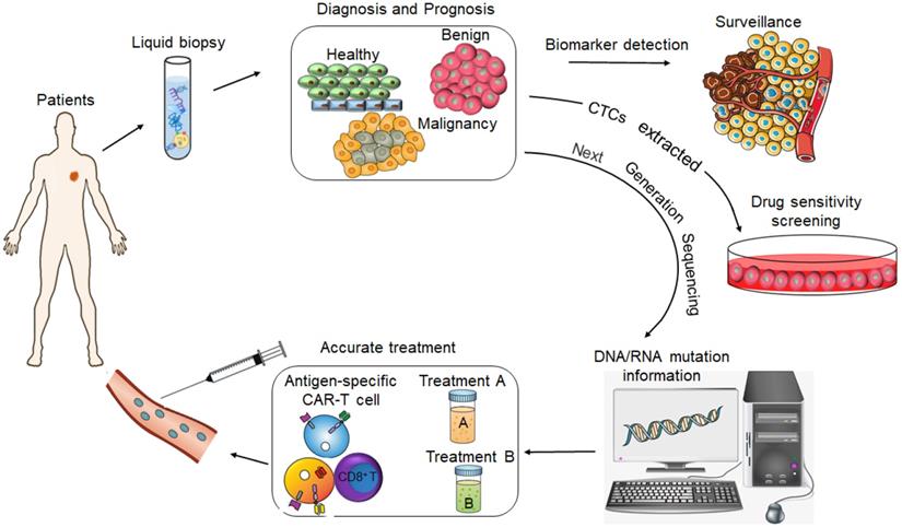 Theranostics Image