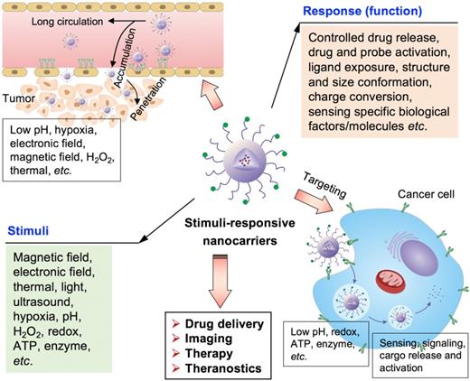 Theranostics Image