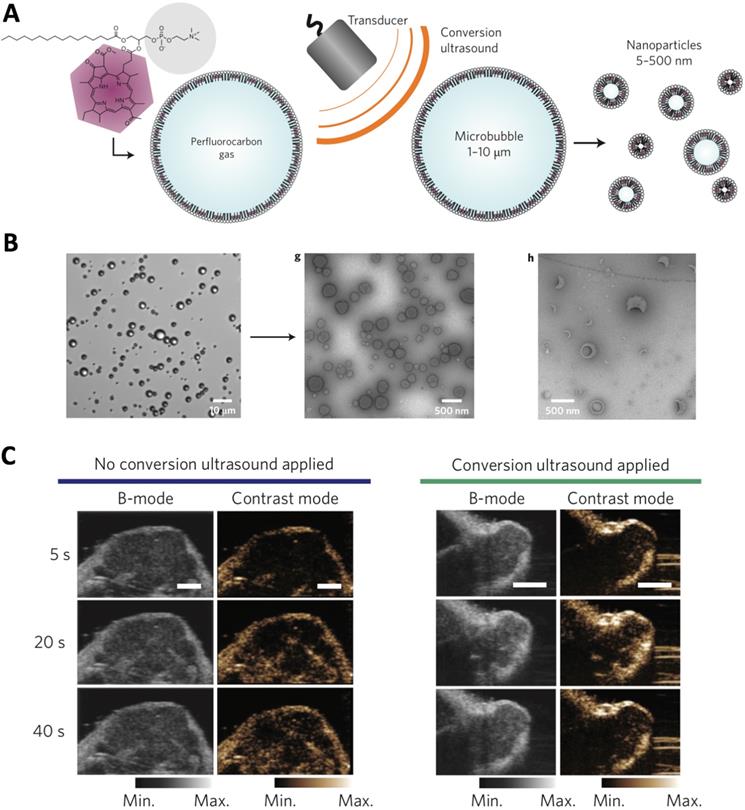 Theranostics Image