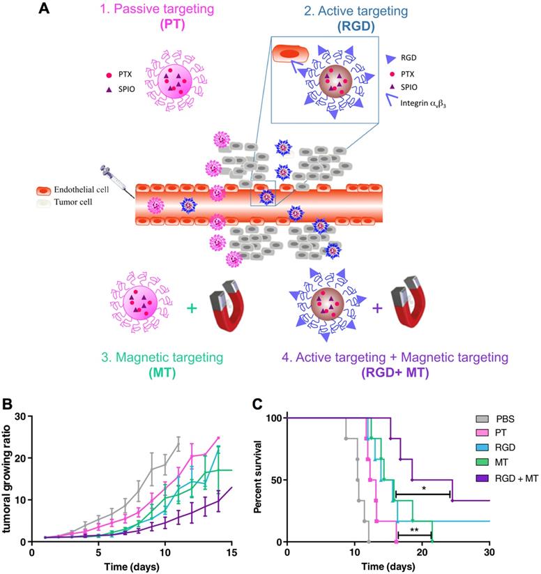 Theranostics Image