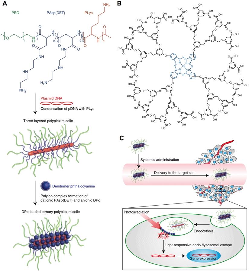 Theranostics Image