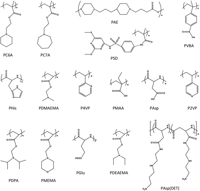 Theranostics Image