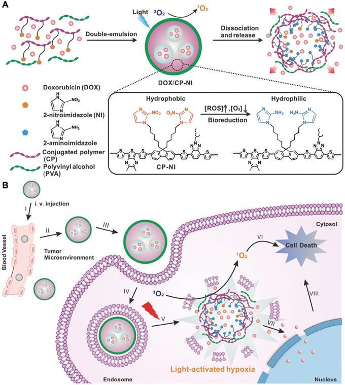 Theranostics Image