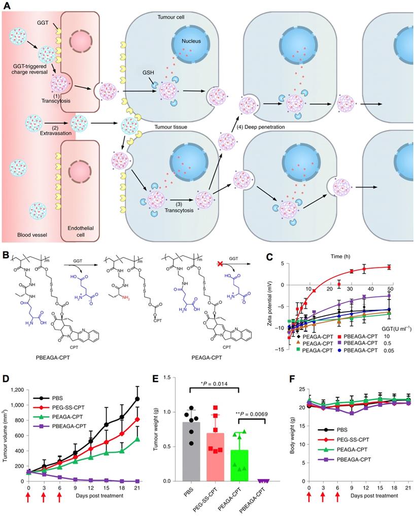 Theranostics Image