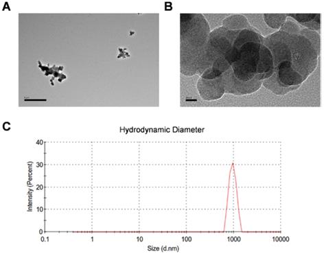 Theranostics Image