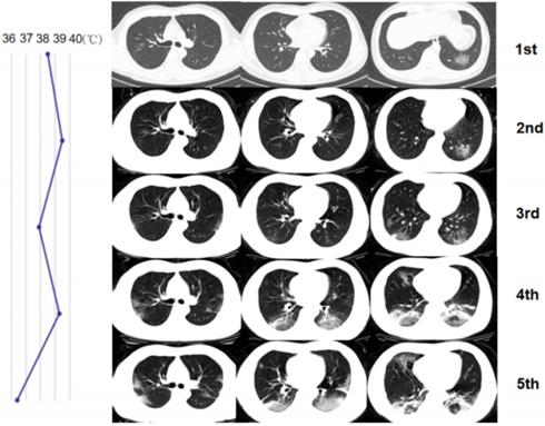 Theranostics Image