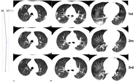 Theranostics Image