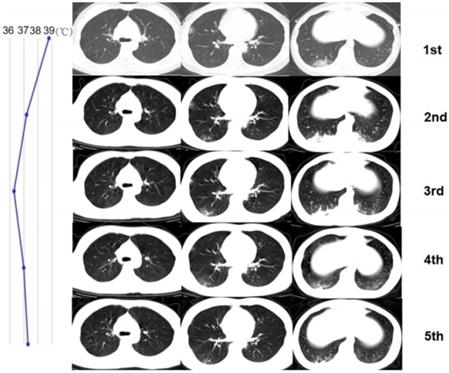 Theranostics Image