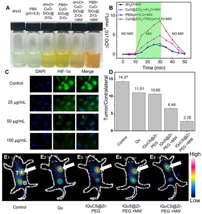 Theranostics Image