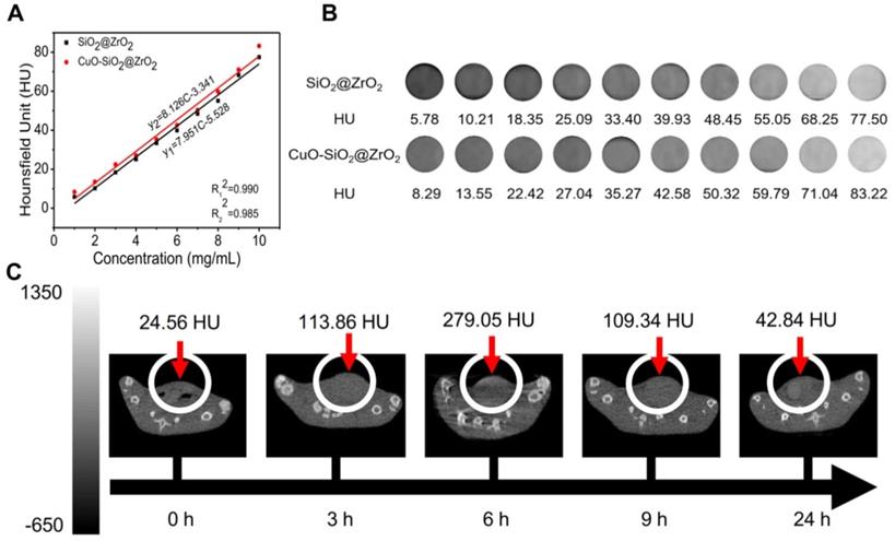 Theranostics Image