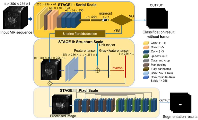 Theranostics Image