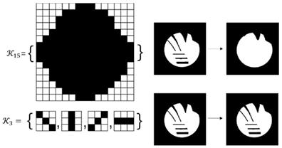 Theranostics Image