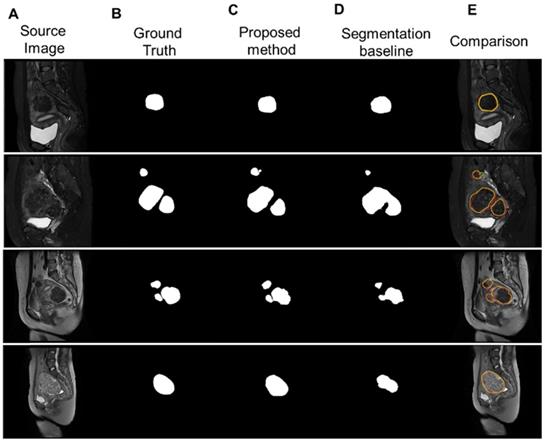 Theranostics Image