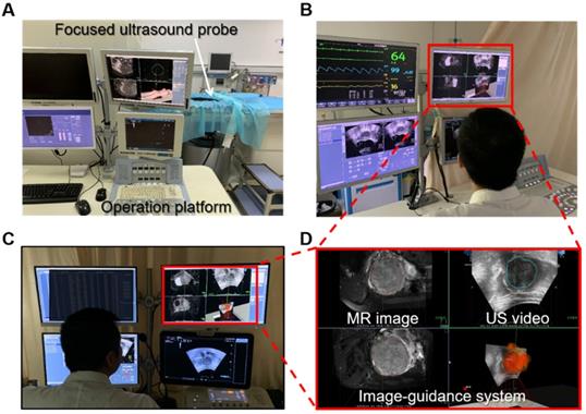 Theranostics Image