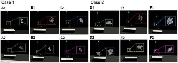 Theranostics Image