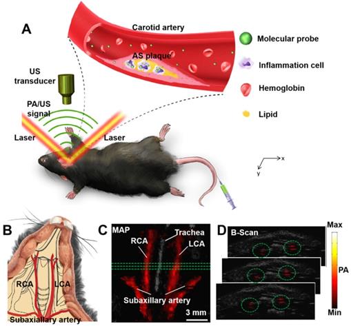 Theranostics Image