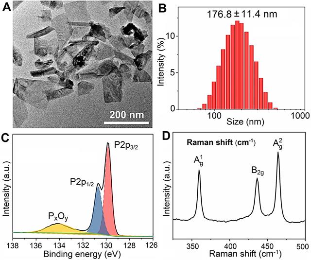 Theranostics Image