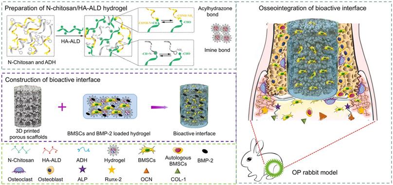 Theranostics Image