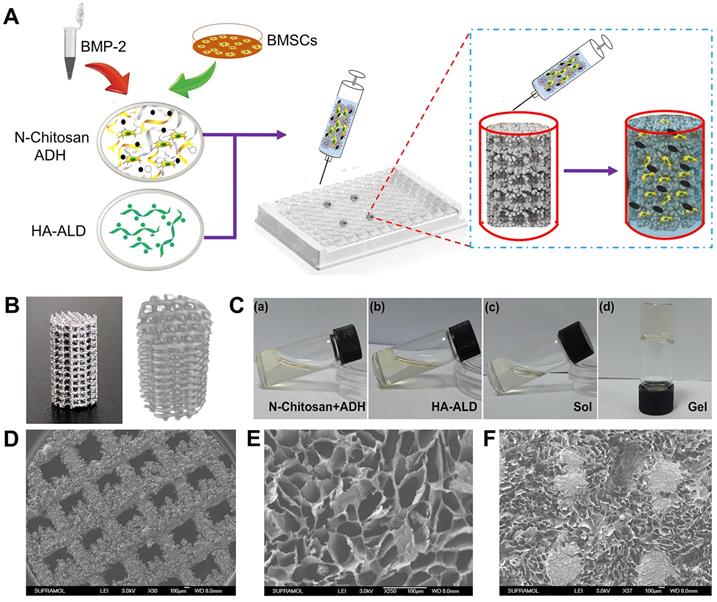 Theranostics Image