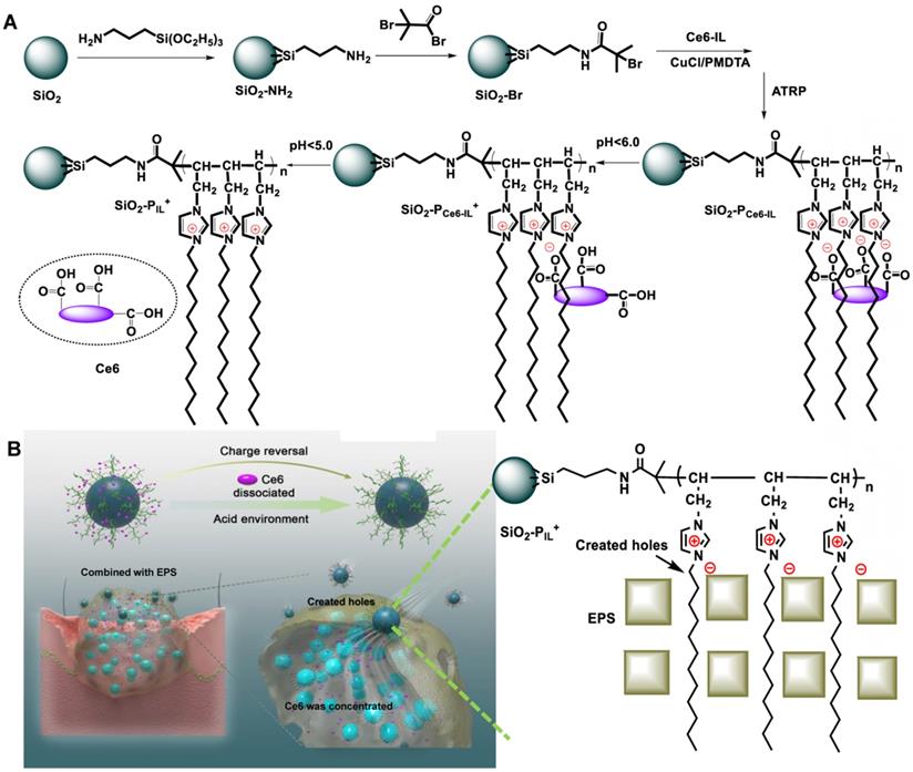 Theranostics Image