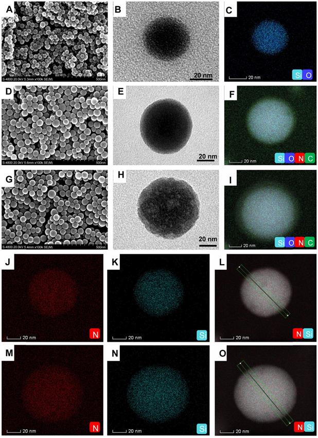 Theranostics Image