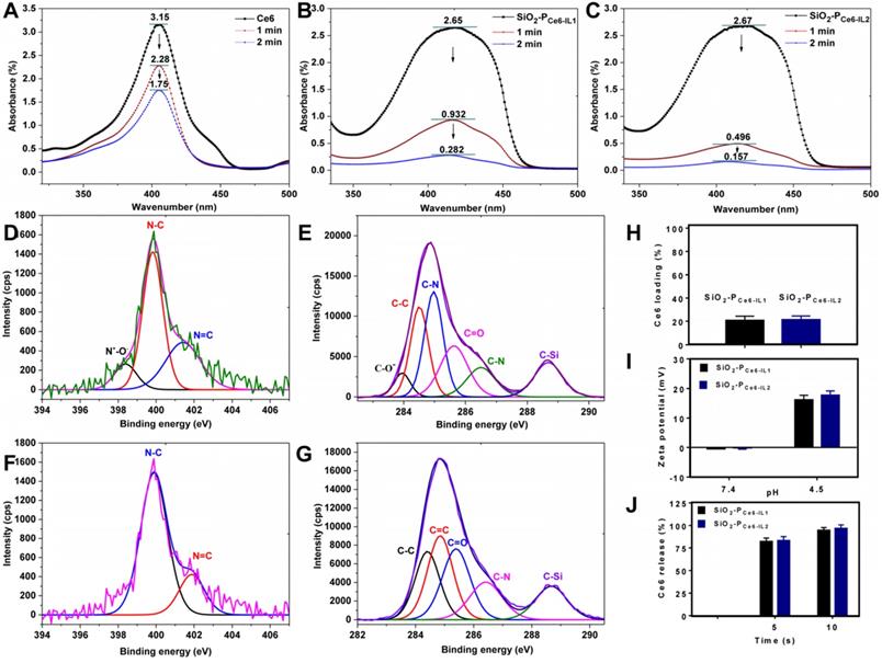 Theranostics Image