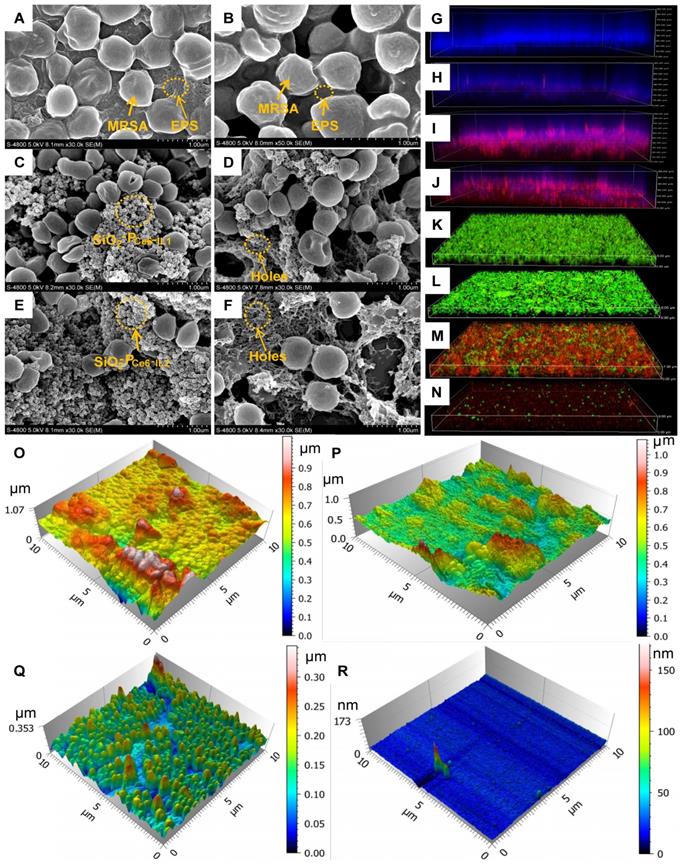 Theranostics Image