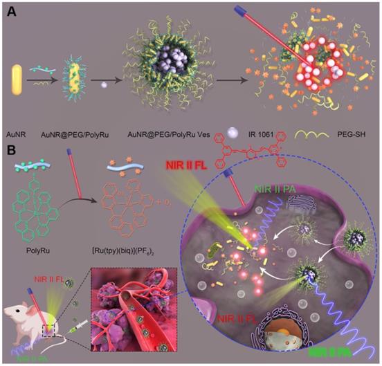 Theranostics Image