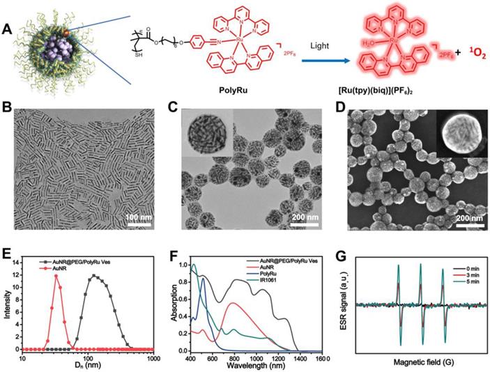 Theranostics Image