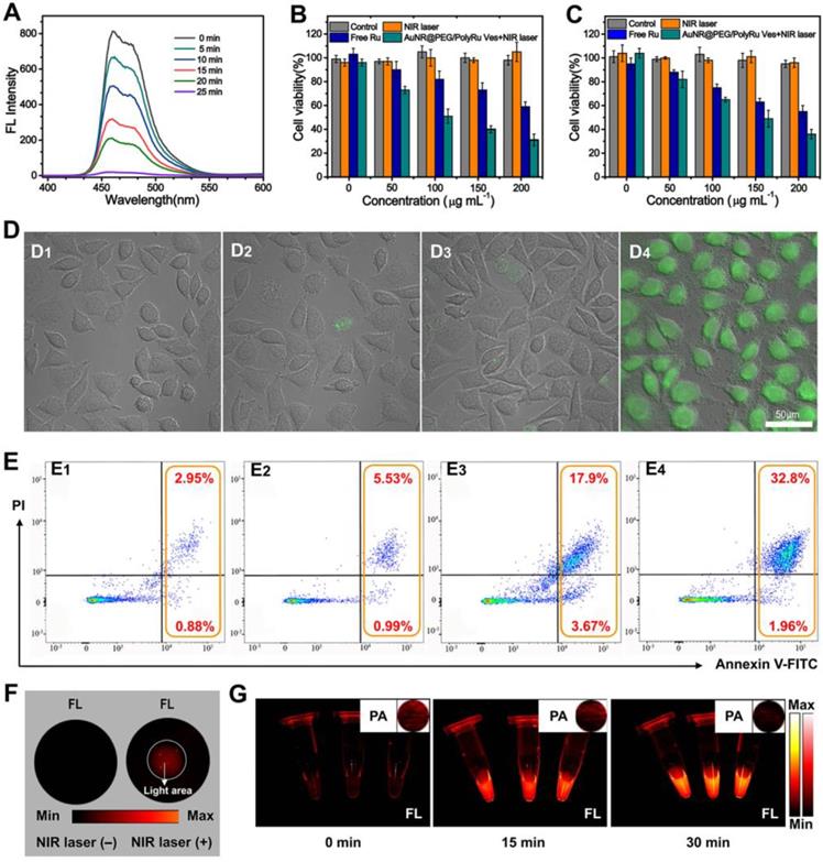 Theranostics Image