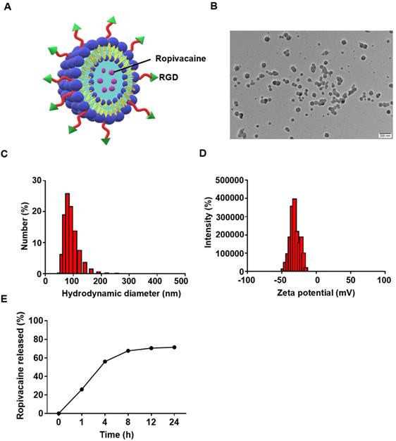 Theranostics Image