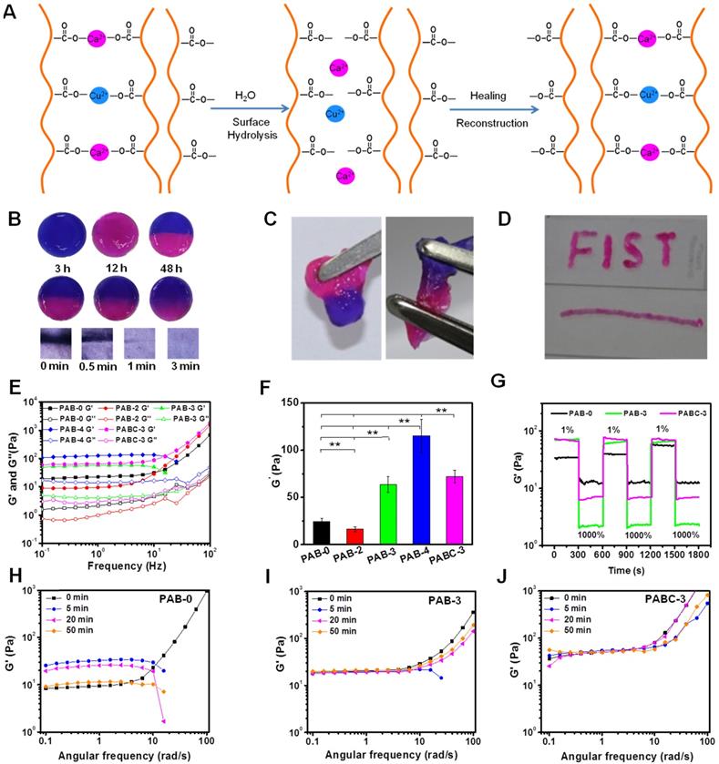 Theranostics Image