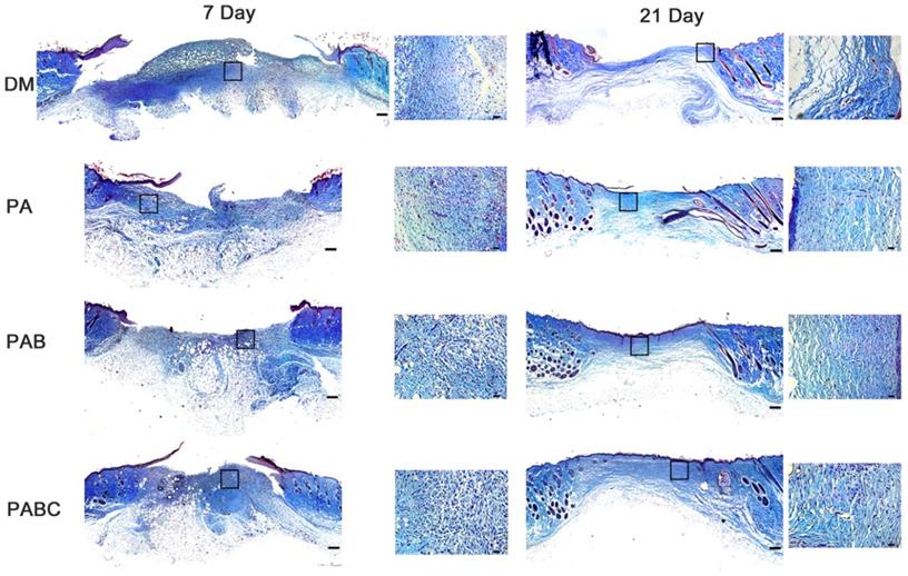 Theranostics Image