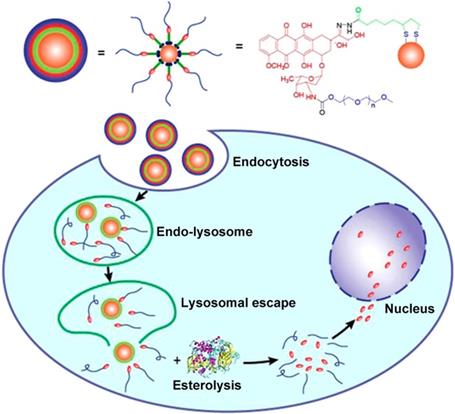 Theranostics Image