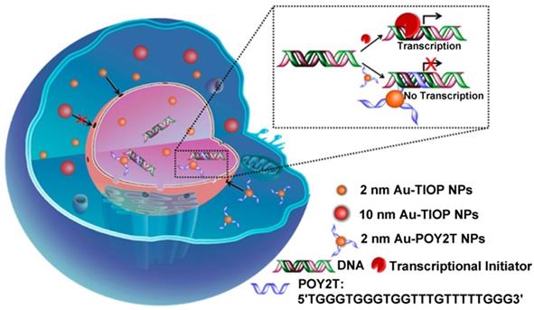 Theranostics Image