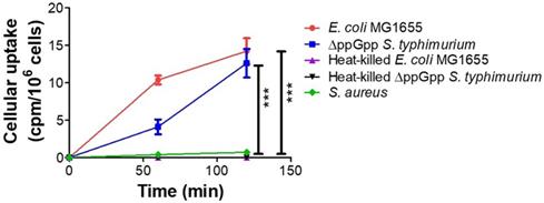 Theranostics Image