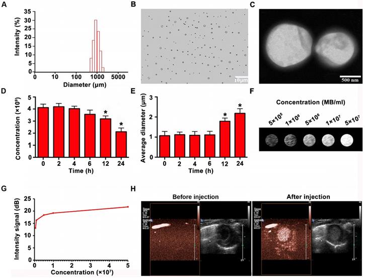 Theranostics Image